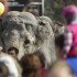 Spectators watch elephants as they walk along central Almaty October 14, 2013. Members of the Warsaw circus paraded with their animals ahead of a performance in Almaty. REUTERS/Shamil Zhumatov (KAZAKHSTAN - Tags: ANIMALS ENTERTAINMENT SOCIETY)